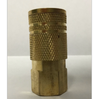 SOCKET, 1/4"FPT 2C/BRASS/NM